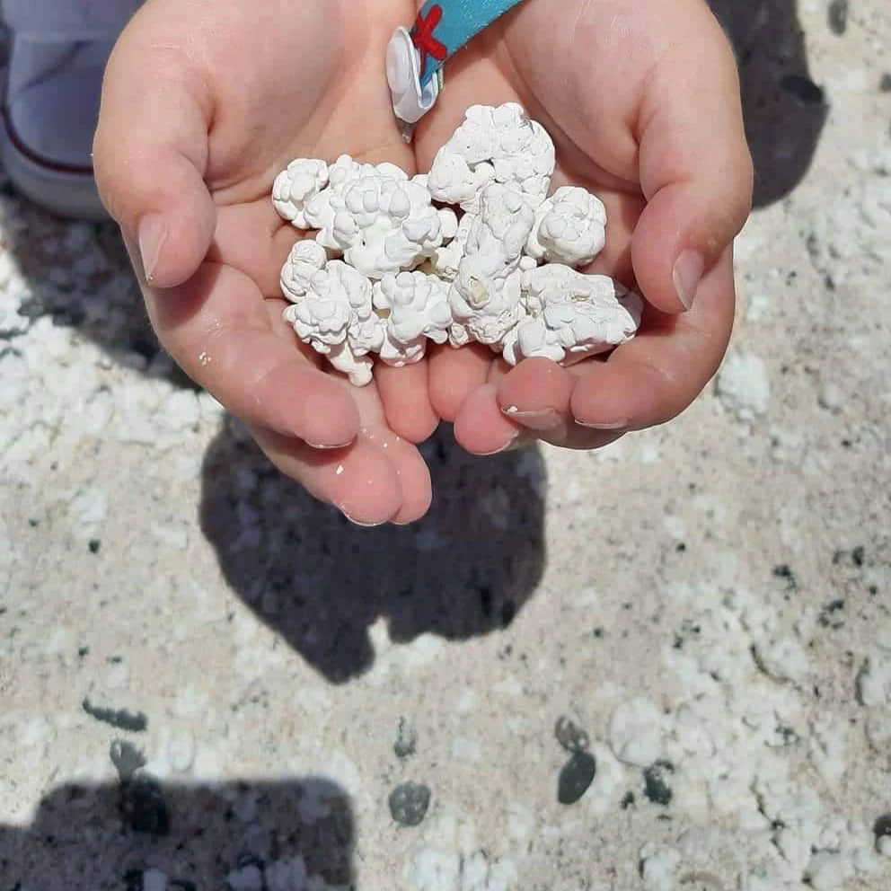 Atrakcje Fuerteventury: Popcorn Beach