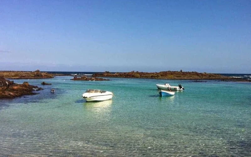 Lobos Extra (północna Fuerteventura i wysepka Lobos)