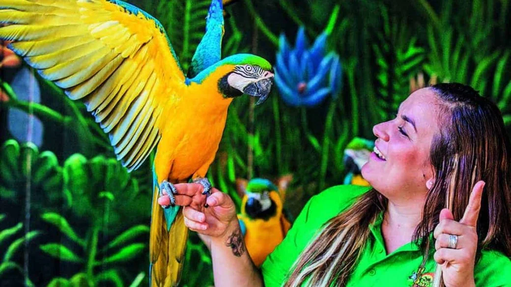 Bilety do Oasis Wildlife Fuerteventura