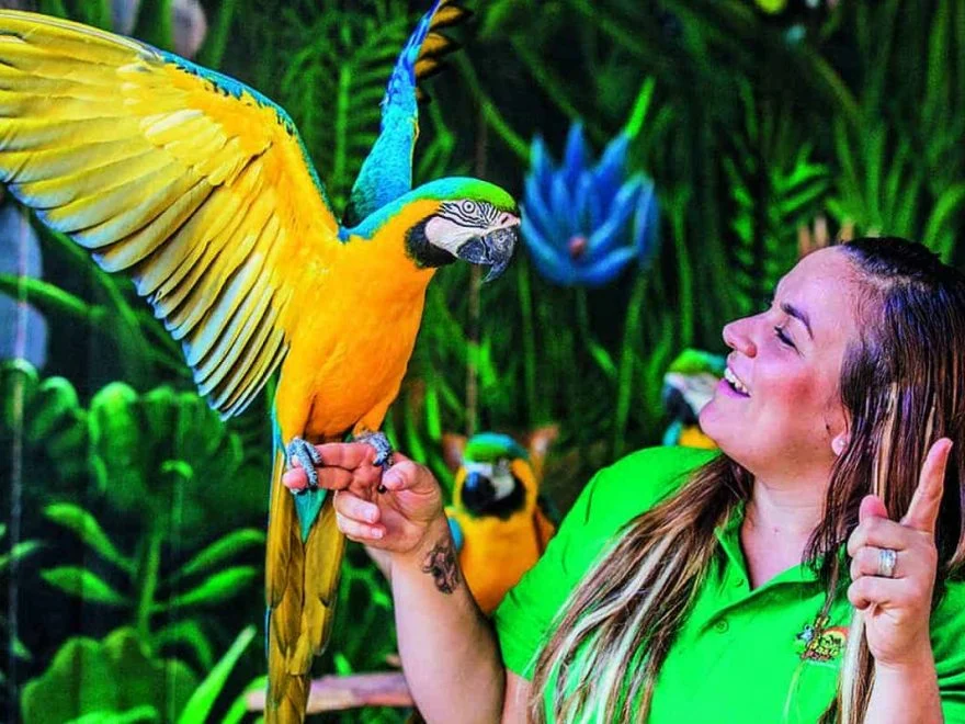 Bilety do Oasis Wildlife Fuerteventura