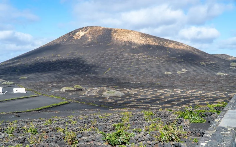 Lanzarote Premium