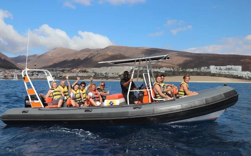Rejs na delfiny (speed boat)